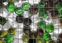 Екоініціативи в Манчестері: як кожен може змінити місто на краще