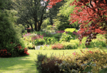 Історія створення Саду Флетчера Мосса