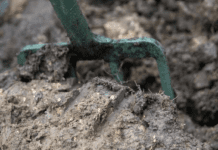 Особливості ґрунтів Манчестера