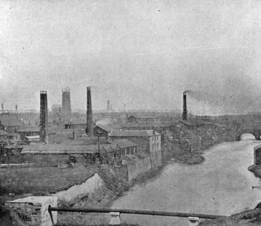 Secrets of the River Medlock: Natural Treasures in an Urban Landscape