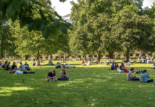 Збереження зелених зон Манчестера: як громади підтримують екологію