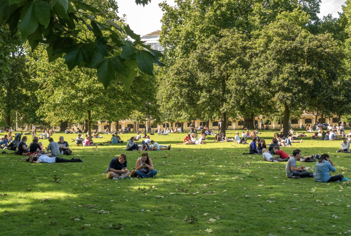 Manchester Environment Preserving Manchester's Green Spaces: Community Efforts to Support ...