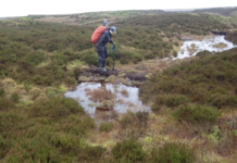 Старые торфяники Большого Манчестера