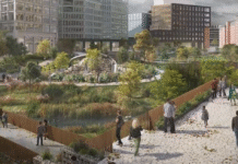 Manchester’s “Green and Blue Infrastructure Strategy”: A Vision Transforming the Cityscape