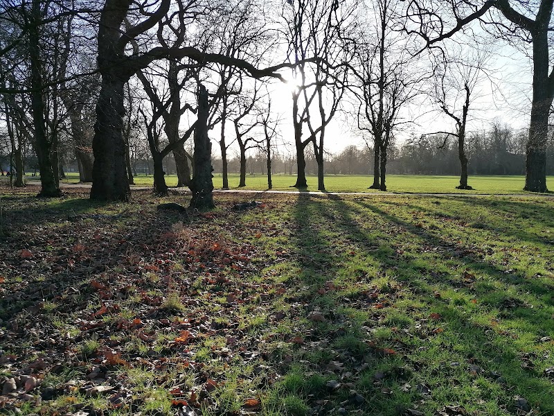 Alexandra Park