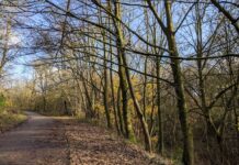 Boggart Hole Clough