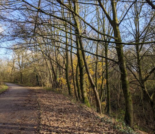 Boggart Hole Clough