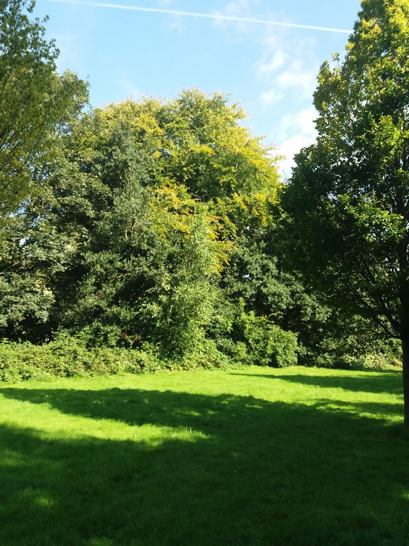 Boggart Hole Clough