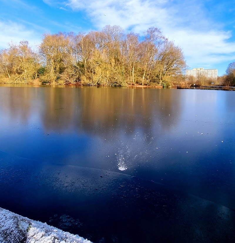 Boggart Hole Clough