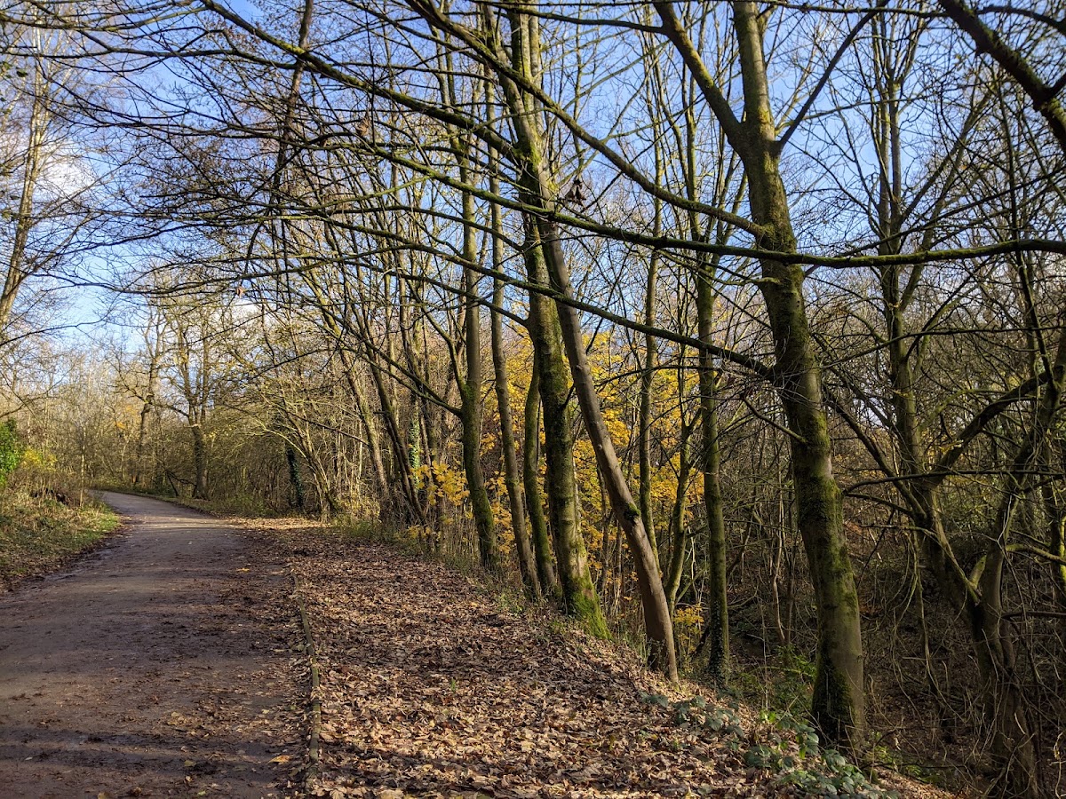 Boggart Hole Clough — Park