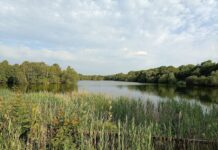 Chorlton Water Park