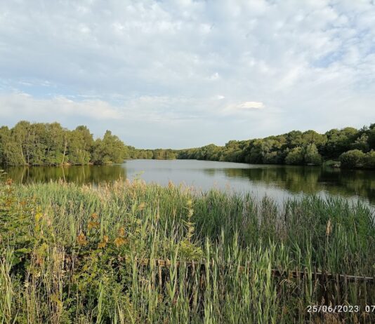 Chorlton Water Park