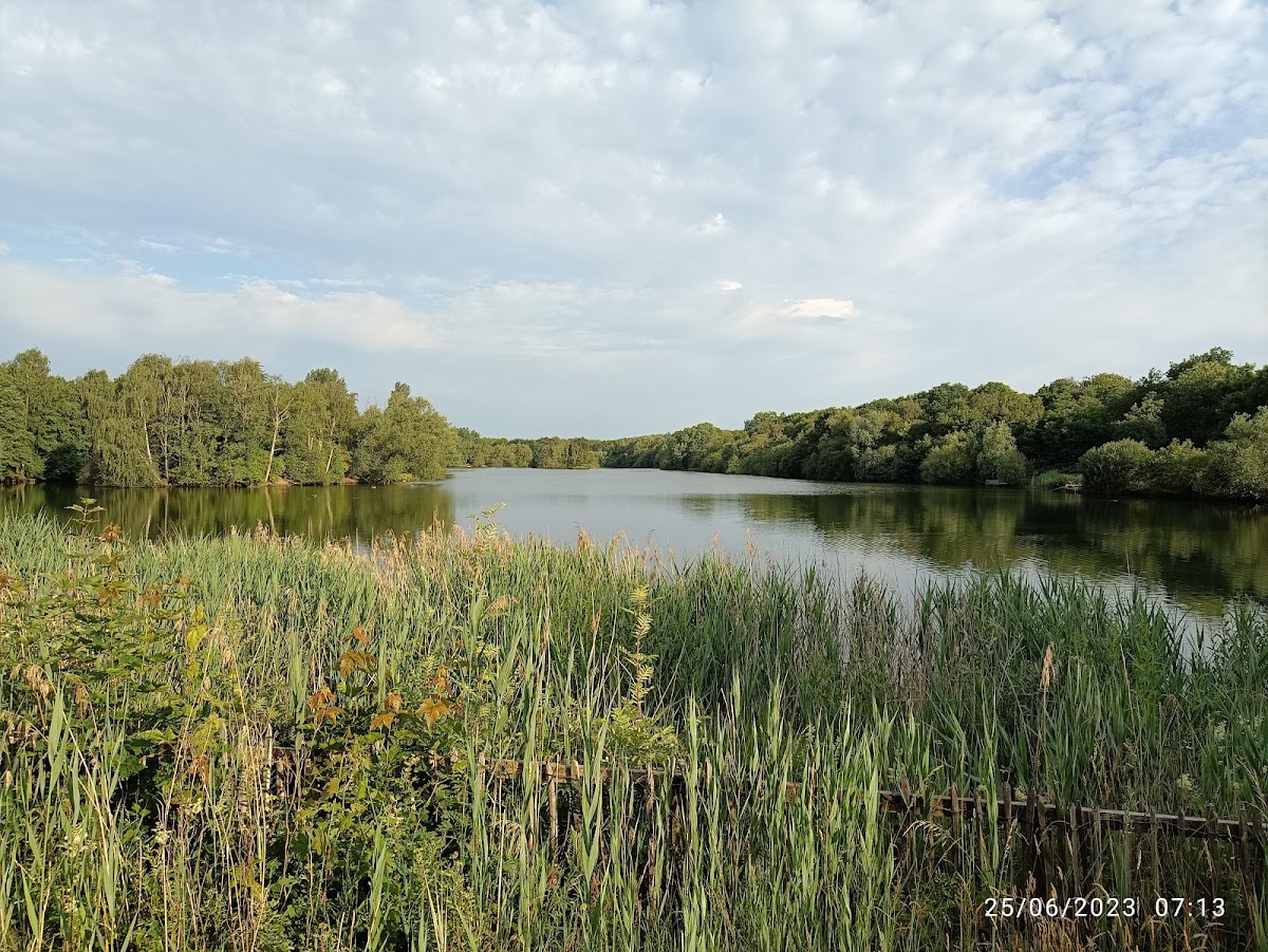 Chorlton Water Park — Park