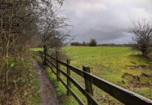 Daisy Nook Country Park