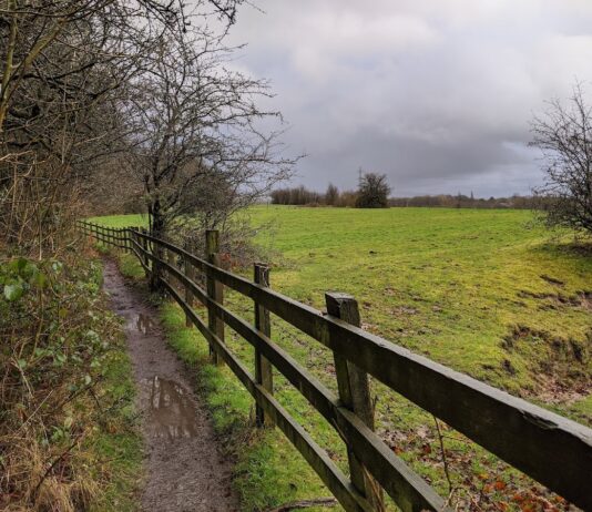 Daisy Nook Country Park