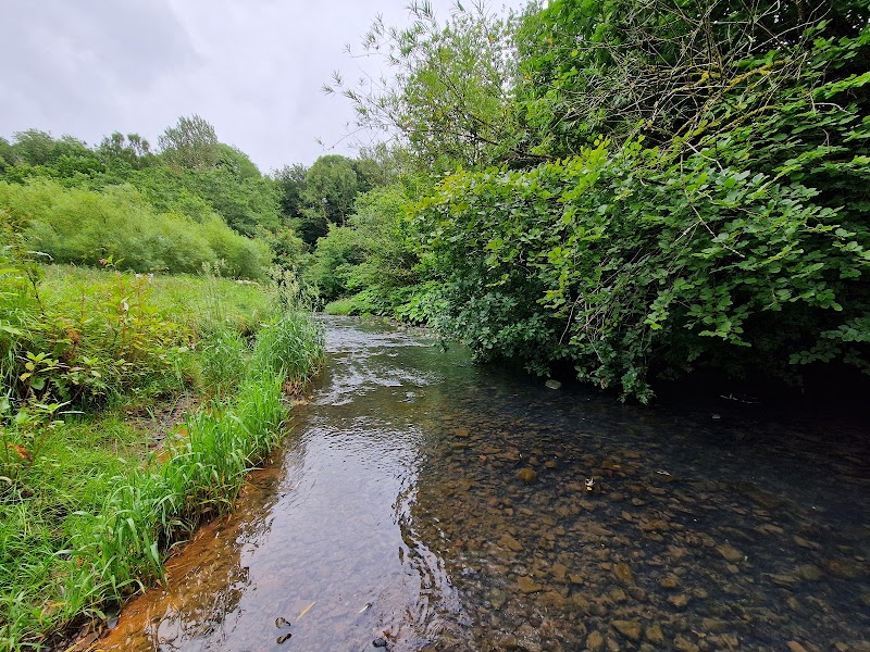 Daisy Nook Country Park