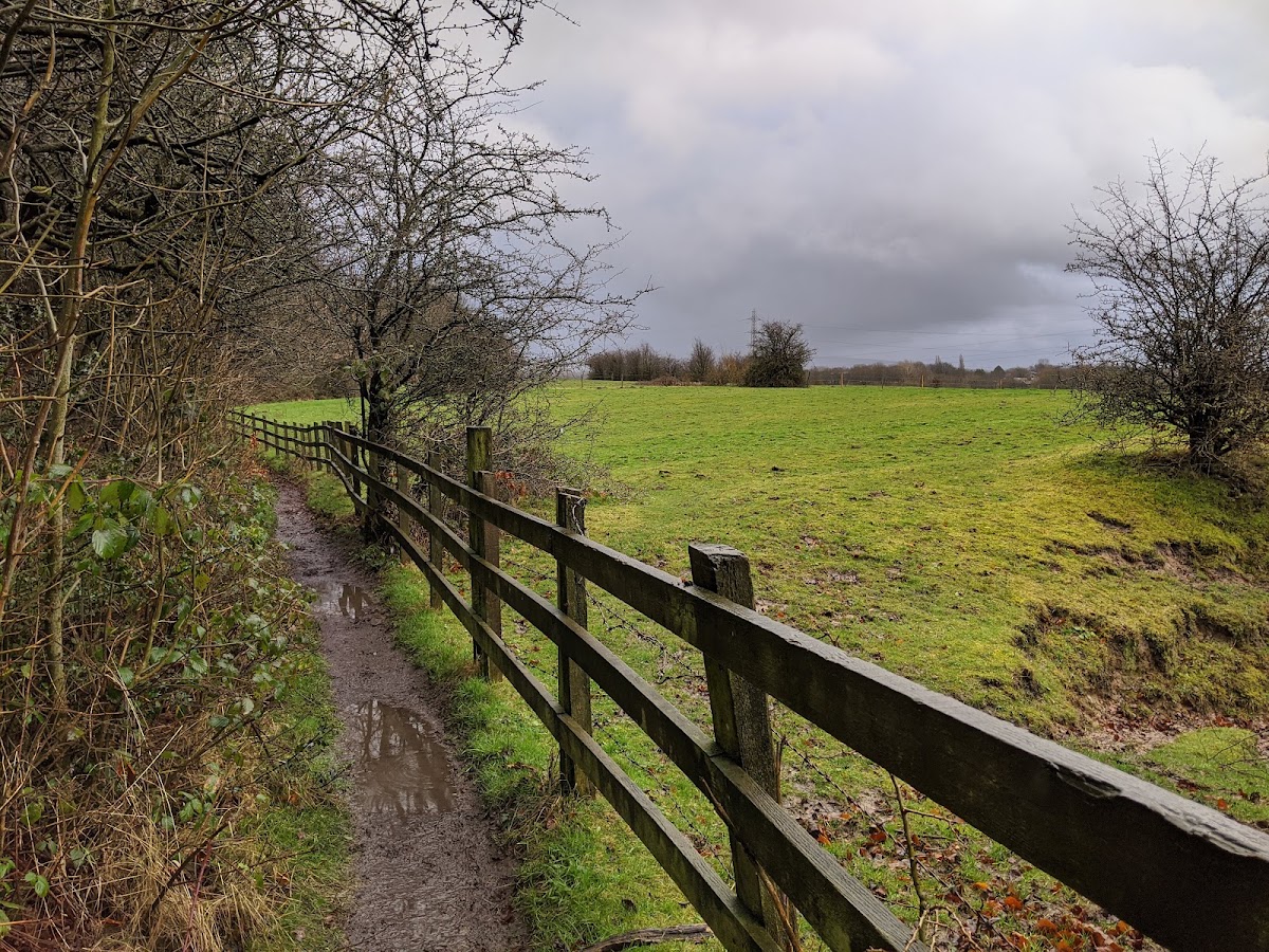 Daisy Nook Country Park — Park