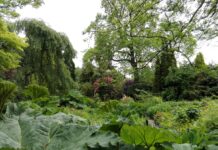 Fletcher Moss Botanical Gardens
