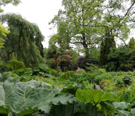 Fletcher Moss Botanical Gardens