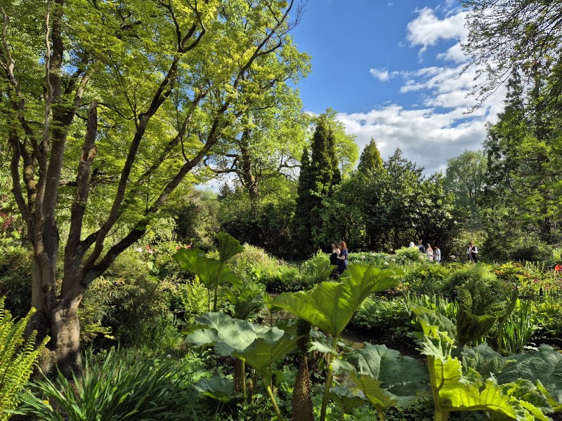 Fletcher Moss Botanical Gardens