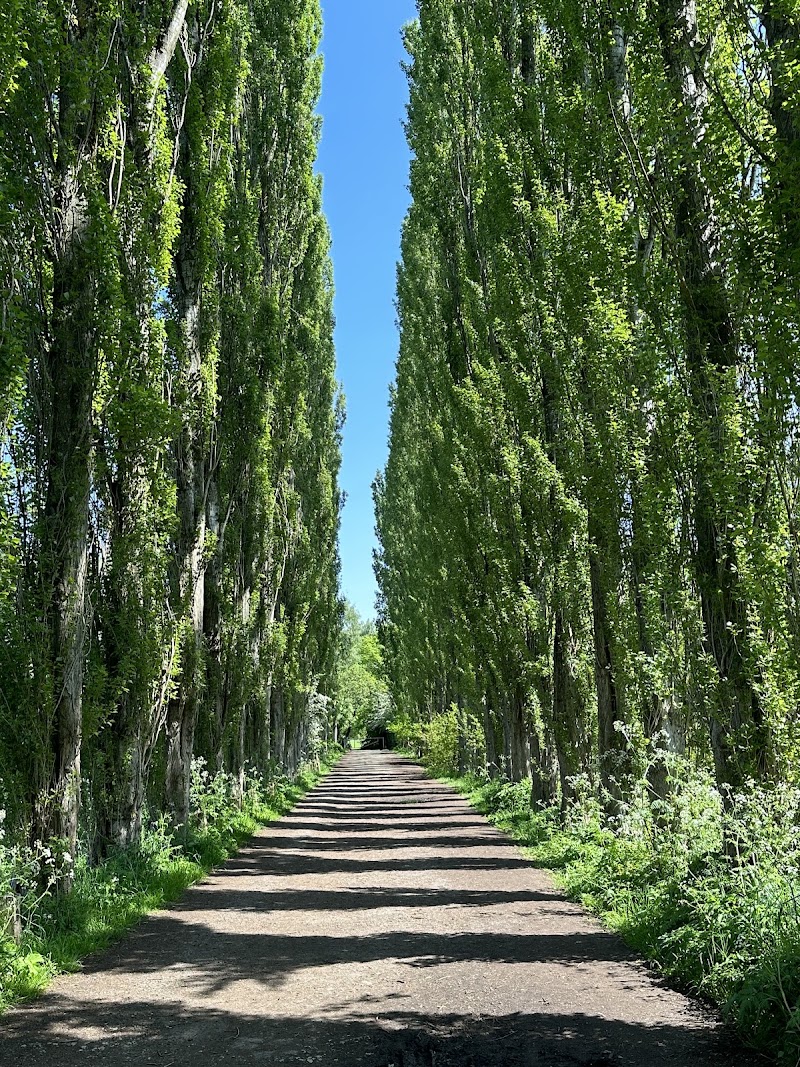 Fletcher Moss Botanical Gardens