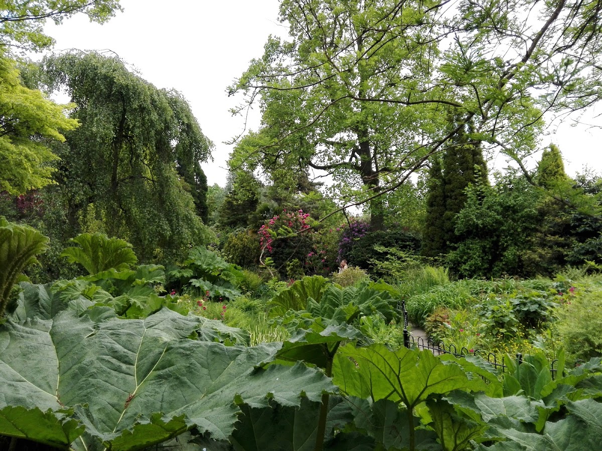 Fletcher Moss Botanical Gardens — Park