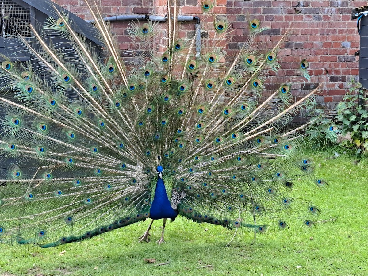 Heaton Park — Park