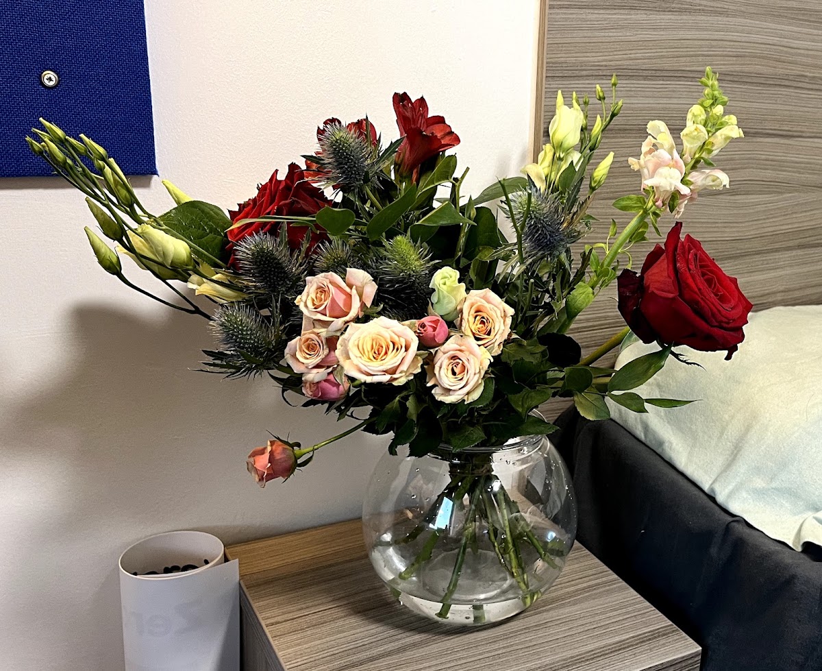 Northern Flower — Florist