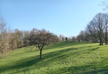 Tandle Hill Country Park
