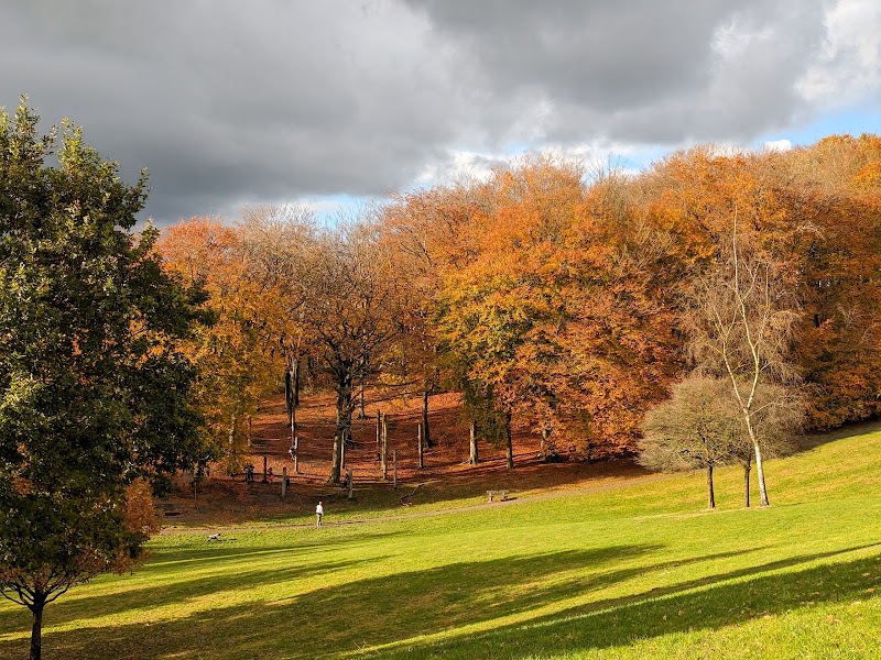 Tandle Hill Country Park