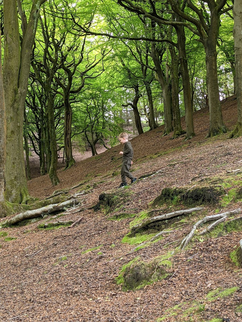 Tandle Hill Country Park