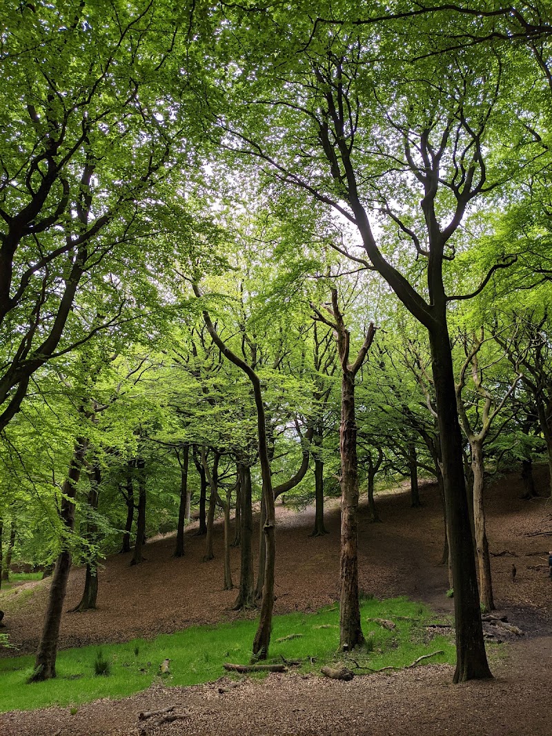 Tandle Hill Country Park