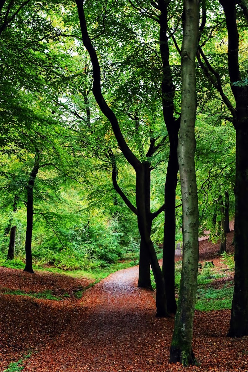 Tandle Hill Country Park
