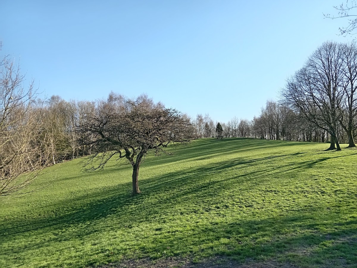Tandle Hill Country Park — Park
