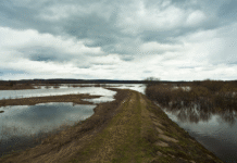 Manchester as a “Sponge City”: Engineering Solutions for Flood Alleviation and Stormwater Management